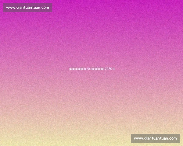 罗马诺确认：桑德兰续约 20 岁锋线新星马延达至 2030 年